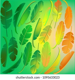 season change gradient of banana leaves seamless on color background vector.