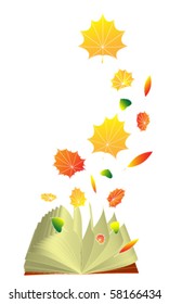 Season concept. Open book with autumn leaves.