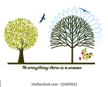 Season concept  (sun behind bare tree)