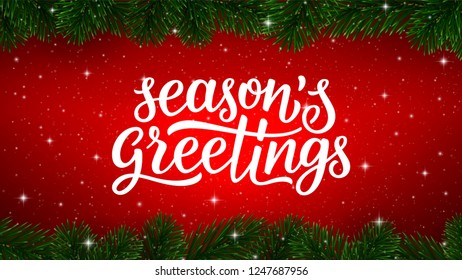 Season greetings calligraphy text with realistic fir tree branches border on red vector background. Greeting card design for Christmas decoration banner