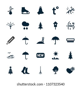 Season icon. collection of 25 season filled icons such as umbrella, bell, ice skate, rake, nesting house, christmas tree, fireworks. editable season icons for web and mobile.