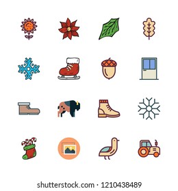 season icon set. vector set about boot, image, acorn and window icons set.