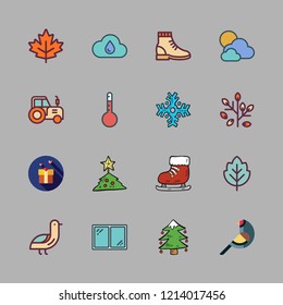 season icon set. vector set about thermometer, boot, maple leaf and window icons set.