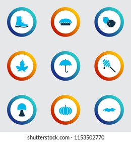 Season icons colored set with maple, puddle, honey and other tart elements. Isolated vector illustration season icons.