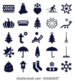 Season icons set. set of 25 season filled icons such as berry, umbrella, sunbed, socks, christmas tree, rake, pot for plants, pine-tree, pumpkin, nesting house, heart frozen
