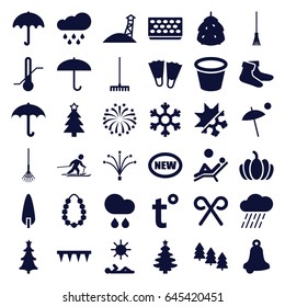 Season icons set. set of 36 season filled icons such as berry, pine tree, umbrella, socks, christmas tree, rake, plowing tool, rain, pot for plants, pumpkin, thermometer
