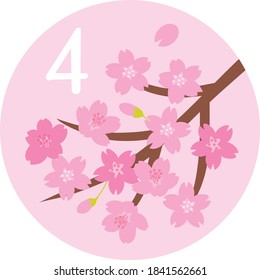 Season illustration icon of cherry blossom on April for a calendar.