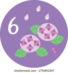 Season illustration icon of hydrangea on Jun for a calendar.