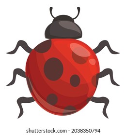 Season ladybug icon cartoon vector. Ladybird bug. Beetle insect