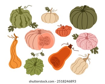 Ilustração do vetor do conjunto de abóbora da estação. Abóboras de diferentes tipos, formas, tamanhos e cores. Decorações de Halloween e Ação de Graças.