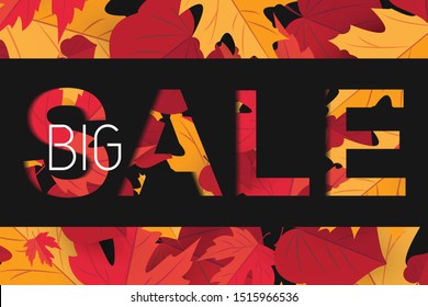 Season sale banner with fall autumn leaf concept. Template holiday banner for season sale, thanksgiving poster. Background for texture, wallpaper with red maple leaves. Vector Illustration. Big Sale 