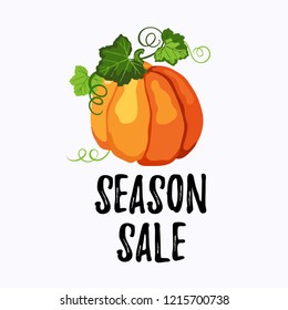 Season sale sticker vector design with orange ripe pumpkin, green leaves and stems on the white background. 