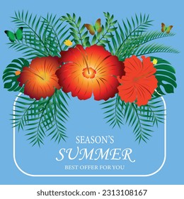 season summer is the best time for you