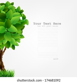 Season tree with green leaves. Green tree on white background. Spring tree with green leaves. Vector Illustrations