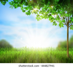 Season Tree With Green Leaves On The Blue Sky In The Morning. Sunrise Is On The Summer Glade.