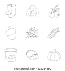 Season of year autumn icons set. Outline illustration of 9 season of year autumn vector icons for web