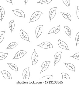 Seasonal abstract pattern. Art Leaves, Spring, Summer. Doodle. Cover. Vector illustration.