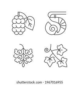 Seasonal allergen causes linear icons set. Mulberry on branch. Poplar tree pollen. English ivy. Customizable thin line contour symbols. Isolated vector outline illustrations. Editable stroke