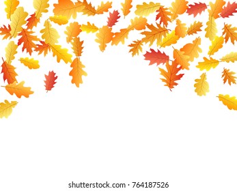 Seasonal autumn leaves falling down background vector illustration. Red, yellow, orange and brown dry oak tree leaves background autumn pattern on white.