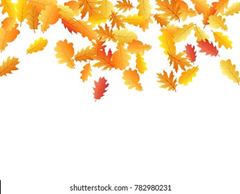 Seasonal autumn leaves falling down background vector illustration. Red, yellow, orange and brown dry oak tree leaves background autumn pattern on white.
