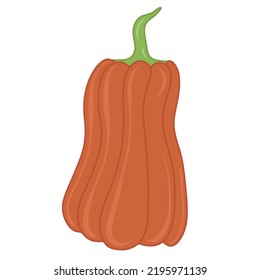 Seasonal autumn orange pumpkin flat vector isolated illustration. Cute pumpkin print. Seasonal vegetable. Hello fall. Cozy elements. Harvest festival. Pumpkin spice and taste