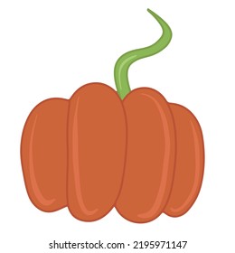Seasonal autumn orange pumpkin flat vector isolated illustration. Cute pumpkin print. Seasonal vegetable. Hello fall. Cozy elements. Harvest festival. Pumpkin spice and taste