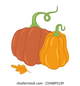 Seasonal autumn orange pumpkin flat vector isolated illustration. Cute pumpkin print. Seasonal vegetable. Hello fall. Cozy elements. Harvest festival. Pumpkin spice and taste