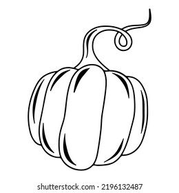 Seasonal autumn outline black pumpkin vector isolated illustration. Cute pumpkin print. Seasonal vegetable. Hello fall. Cozy elements. Harvest festival. Pumpkin spice and taste