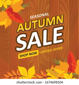 Seasonal Autumn Sale Limited Offer