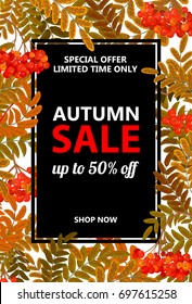 Seasonal autumn sale vertical banner with inscriptions and hand drawing autumnal red rowan, vector illustration