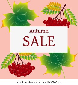 seasonal autumn sales background with colored leafs