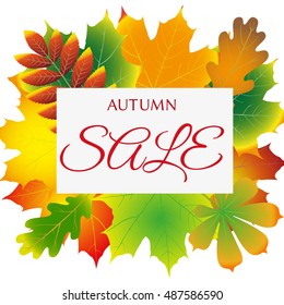 seasonal autumn sales background with colored leafs