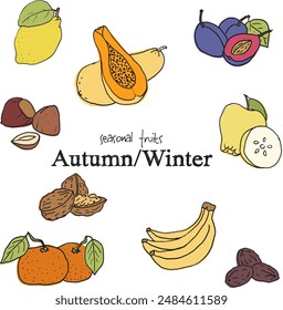 Seasonal autumn and winter fruits, illustration style, vectorized