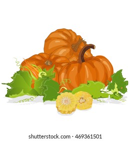 Seasonal background with plump pumpkins, corn and leaves