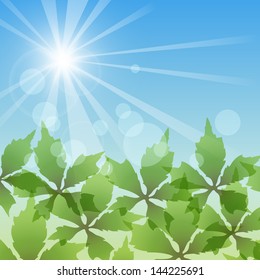 Seasonal background with vine leaves.