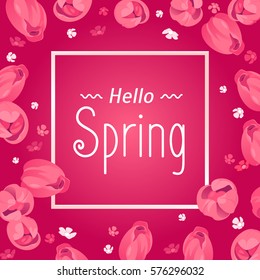 Seasonal banner. Hello Spring greeting card. Holiday frame, text, flowers. Vector template with fresh colorful background. Festive frame, pink tulips. Mother's day, 8 March, Easter design