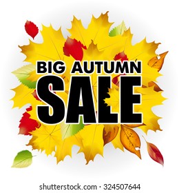 Seasonal big autumn sale business background with colored leafs. vector.