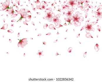 Seasonal blossom elements, apple or japanese sakura petals flying and flowers falling vector illustration. Spring petals and pink flower vector elements falling background.  