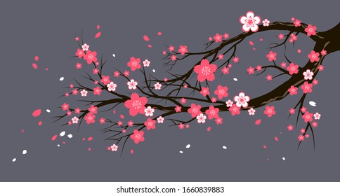 Seasonal cherry tree with flowers