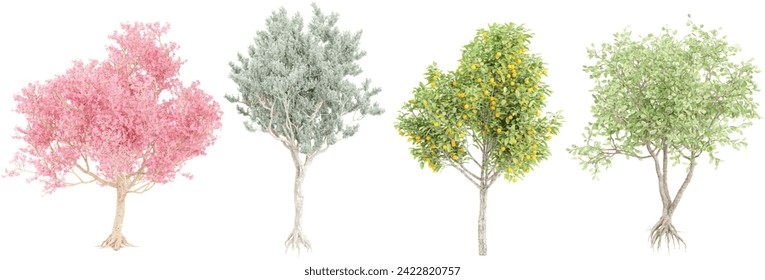 Corisia de temporada Speciosa,Citrus Sinensyscolors,Clusia Rosea,Conocarpus Erectus fondo de corte 3d renderizado png