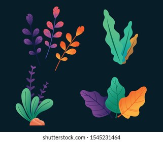 Seasonal Color Leaf and Colorful