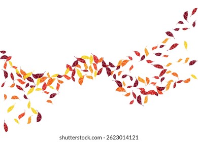 Seasonal colorful dry leaves vector design. Red yellow maroon shades dry autumn leaves bright forest theme backdrop. Creative tree foliage outdoors illustration.