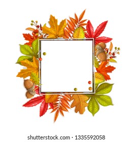 Seasonal fall frame with autumn foliage of maple, oak, elm, chestnut and autumn berries. Vector illustration.