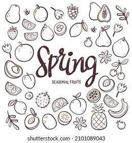Seasonal fruits background. Hand-drawn spring fruit composition made of doodle vector icons, isolated on white background.