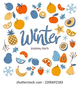 Seasonal fruits background. Winter fruit composition made of colorful hand-drawn vector icons, isolated on white background.