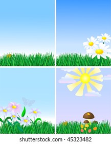 seasonal grass