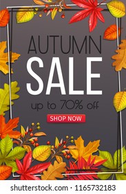 Seasonal hello fall poster with autumn foliage of maple, oak, elm, chestnut and autumn berries.