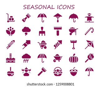  seasonal icon set. 30 filled seasonal icons. Simple modern icons about  - Wheelbarrow, Rake, Umbrella, Scarecrow, Blossom, Storm, Candy cane, Fireworks, Firecracker, North pole