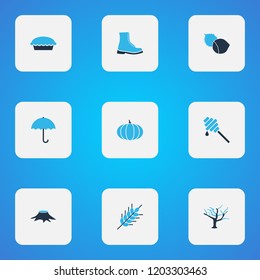 Seasonal icons colored set with hazelnut, pumpkin, wheat and other filbert elements. Isolated vector illustration seasonal icons.