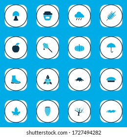 Seasonal icons colored set with honey, rain, umbrella and other cloud elements. Isolated vector illustration seasonal icons.